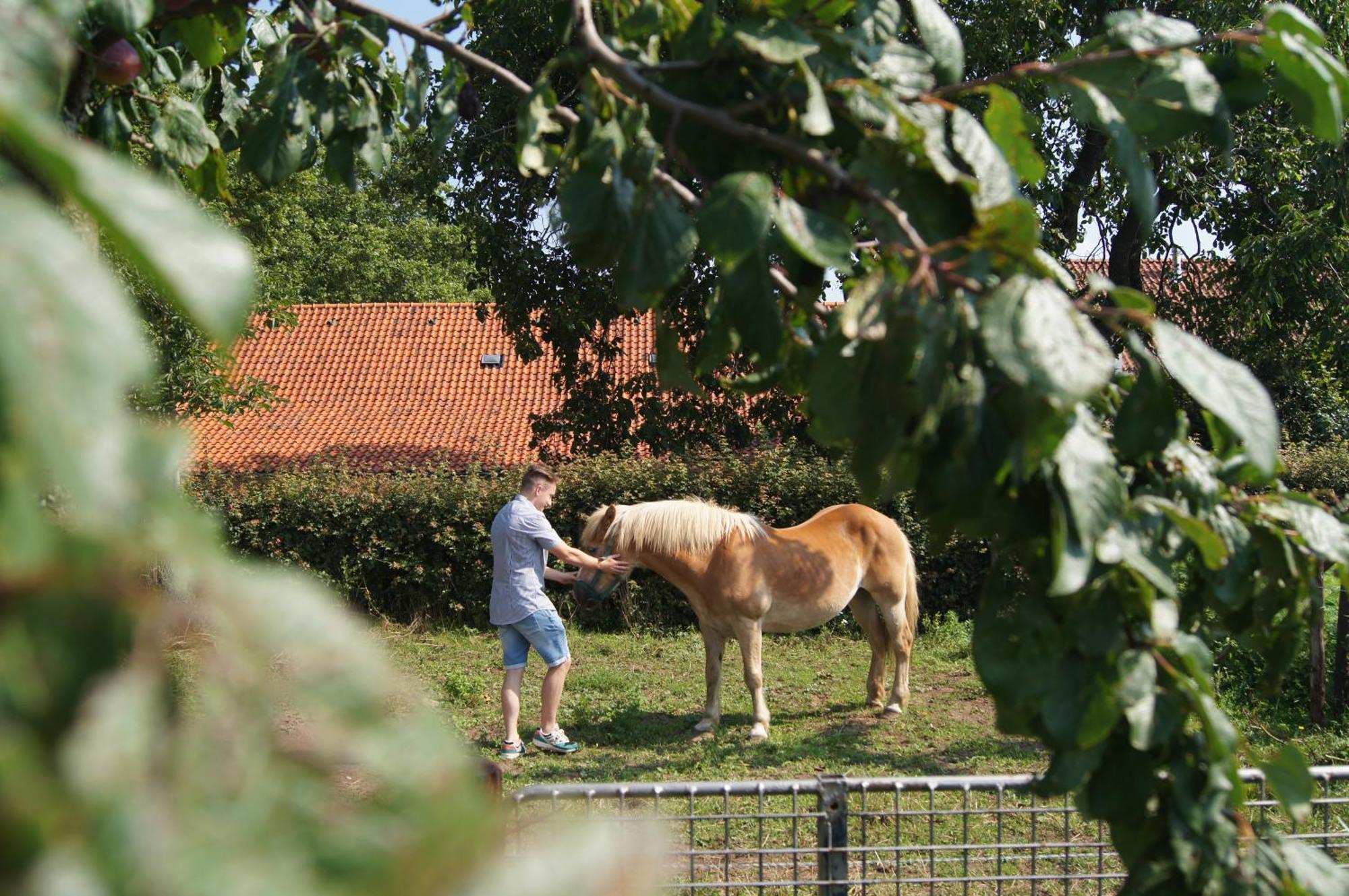 Hoeve Linnerveld Merum Extérieur photo